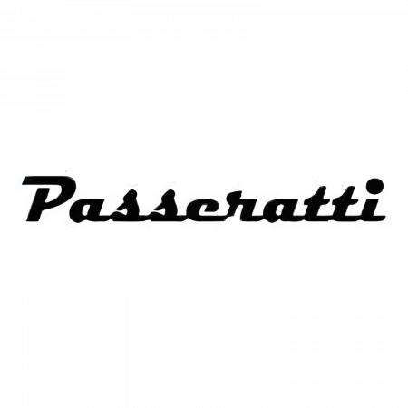 Volkswagen - sticker-auto-volkswagen-passat-passeratti.jpg