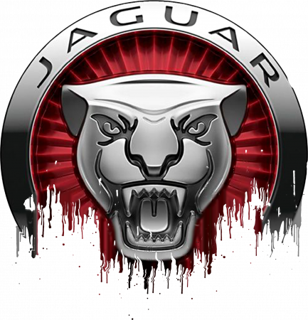 Jaguar - sticker-jaguar-regenerated-autocolant-modern-tuning.jpg