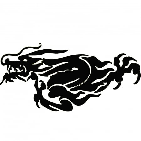 Stickere Mașină - sticker-dragon-auto-ascundere-zgarieturi-lovituri-caroserie