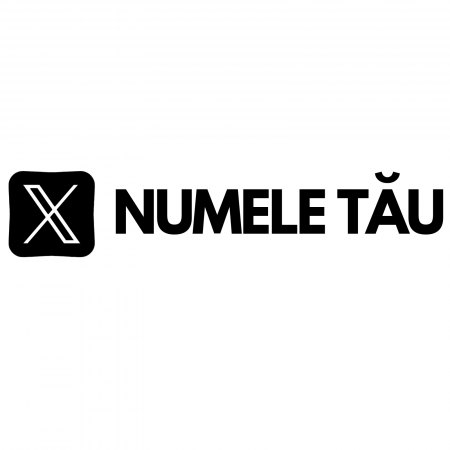 Stickere Personalizate - sticker-x-fost-twitter-personalizat-cu-nume-autocolant-social-media.jpg
