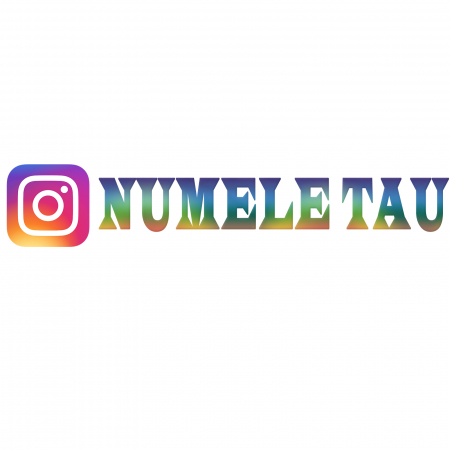 Stickere universale - sticker personalizat instagram pentru mașina ta