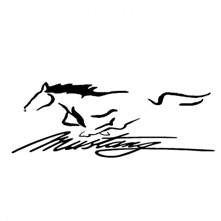 img-attr
