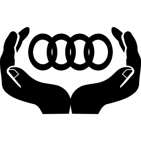 Audi - sticker-in-my-hands-is-audi-autocolant-personalizat-oracal.jpg