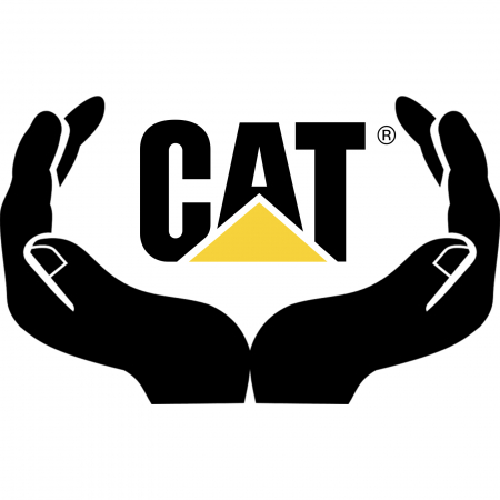 CAT - sticker-in-my-hands-is-cat-masina-autocolant-personalizat-oracal.jpg