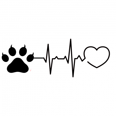 Stickere Animale - sticker-my-cat-in-my-puls-autocolant-personalizat-oracal.jpg