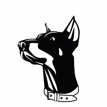 Stickere Animale - Sticker auto „Câine Doberman” – autocolant impunător pentru iubitorii de câini