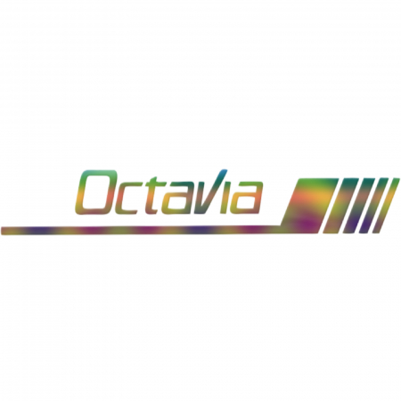 Skoda - sticker-skoda-octavia-oglinda-autocolant-personalizat.jpg