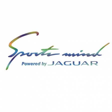 Jaguar - set-stickere-jaguar-sport-mind