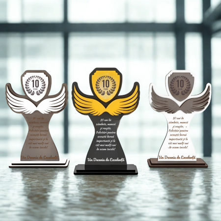 trofeu-personalizat-model-fly-10-ani-premium-awards.jpg [1]