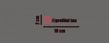 Stickere Social Media - Sticker logo Instagram