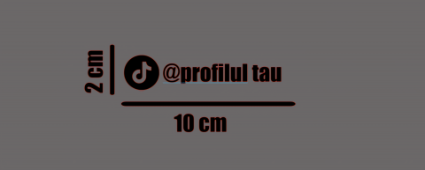 Stickere Social Media - Sticker logo Tiktok