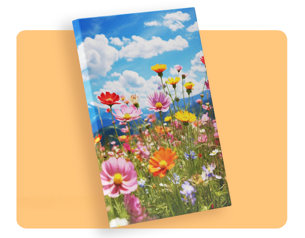 Tablouri Canvas Promotionale