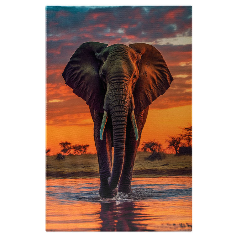Animale - Tablou Canvas:  Fotografie cu un elefant la apusul soarelui - bland apa Pictura Digitala 40x25CM