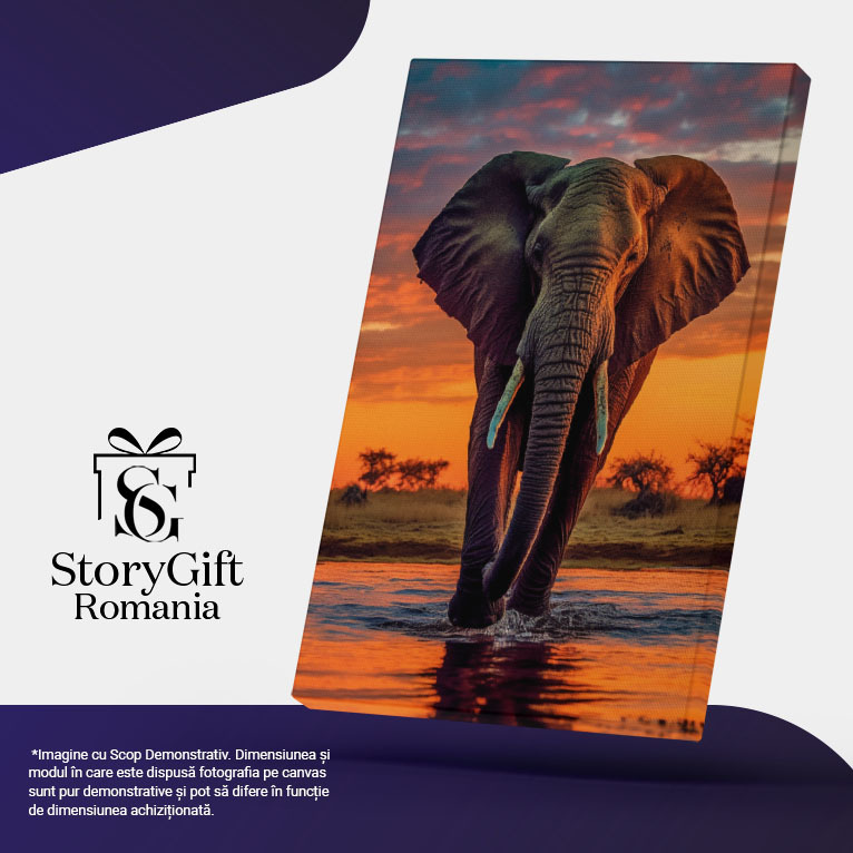 Tablou Canvas:  Fotografie cu un elefant la apusul soarelui - bland apa Pictura Digitala 40x25CM [4]