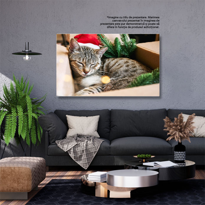 Tablou Canvas Pisica Tabby cu Palarie de Mos Craciun Rosie pisica, relaxare, Craciun fericit, cadou, umor 1577 40x25CM [2]