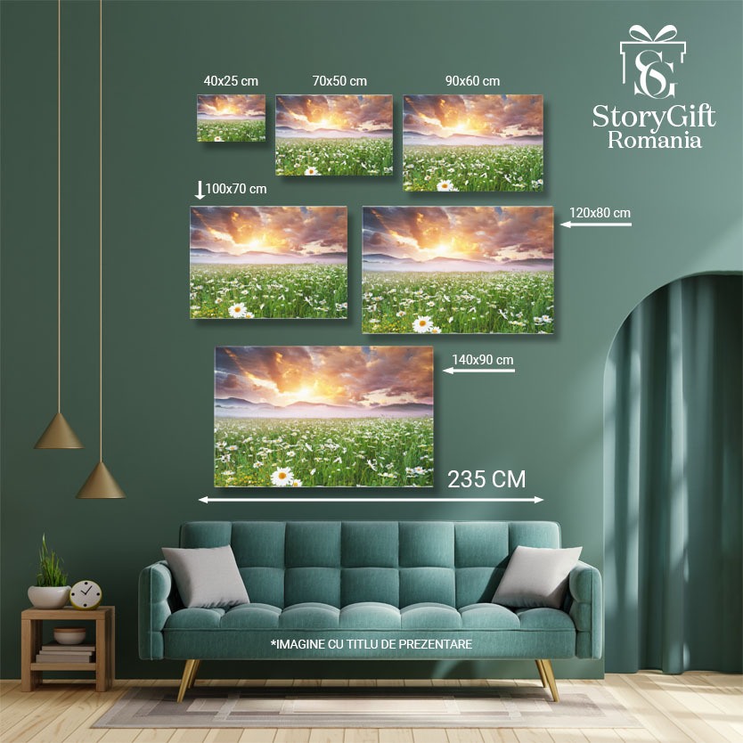 Tablou Canvas -Cu Margarete in Dimineata Cetoasa natura, peisaj, dimineata, ceai, flori 1594 40x25CM [4]