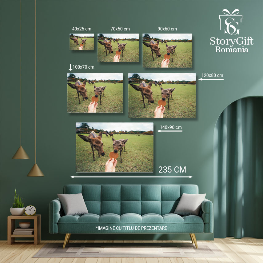 Tablou Canvas Cerbi si Fauna in Parcul Nara, Kyoto, Japonia Nara, animale, bambi, parcul Nara, Kyoto 1618 40x25CM [4]