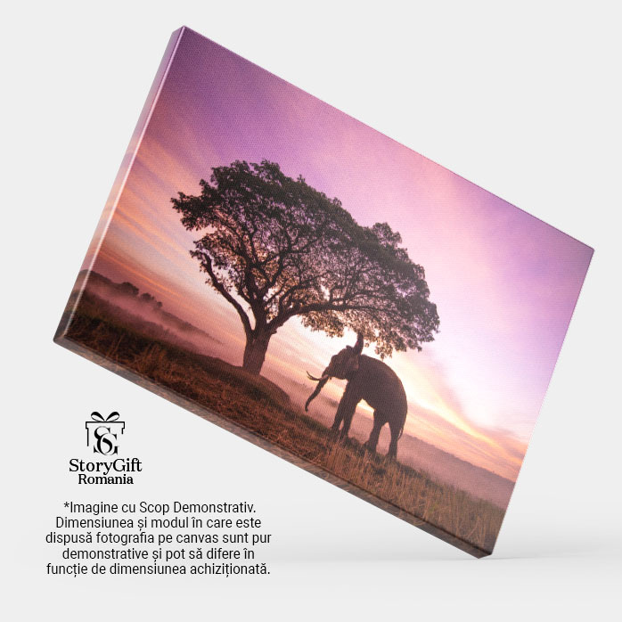 Tablou Canvas Elefant la Rasarit in Thailanda agricultura, animal, asia, cambodgia, camp, rasarit, crepuscul, elefant, fermier, hrani, camp 1784 40x25CM [3]