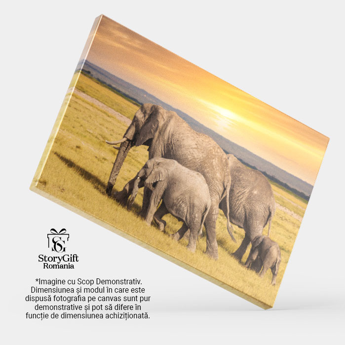 Tablou Canvas Elefanti cu Elefanti Bebelusi in Parcul National din Kenya safari, apus, turma, familie, natura africana 1821 40x25CM [3]