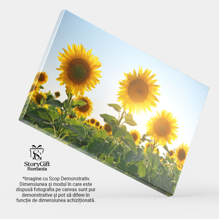 Tablou Canvas Camp de Floarea-soarelui Peisaj, Natura, Vara, Flori. 1950 40x25CM [3]