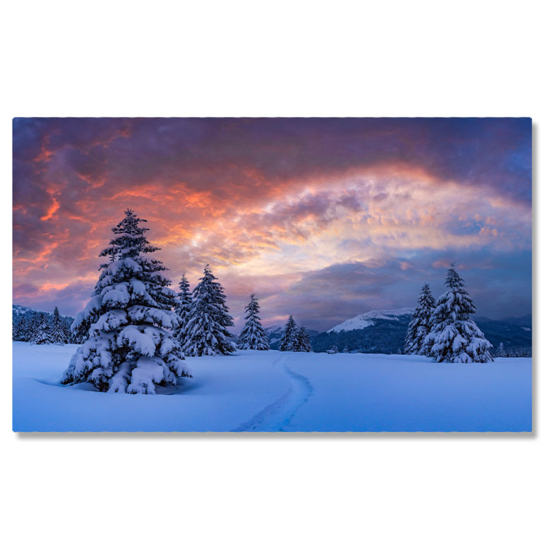 Calea Lactee - Tablou Canvas Peisaj incredibil cu conifere acoperite de zapada, peisaj de Craciun, iarna 2497 40x25CM