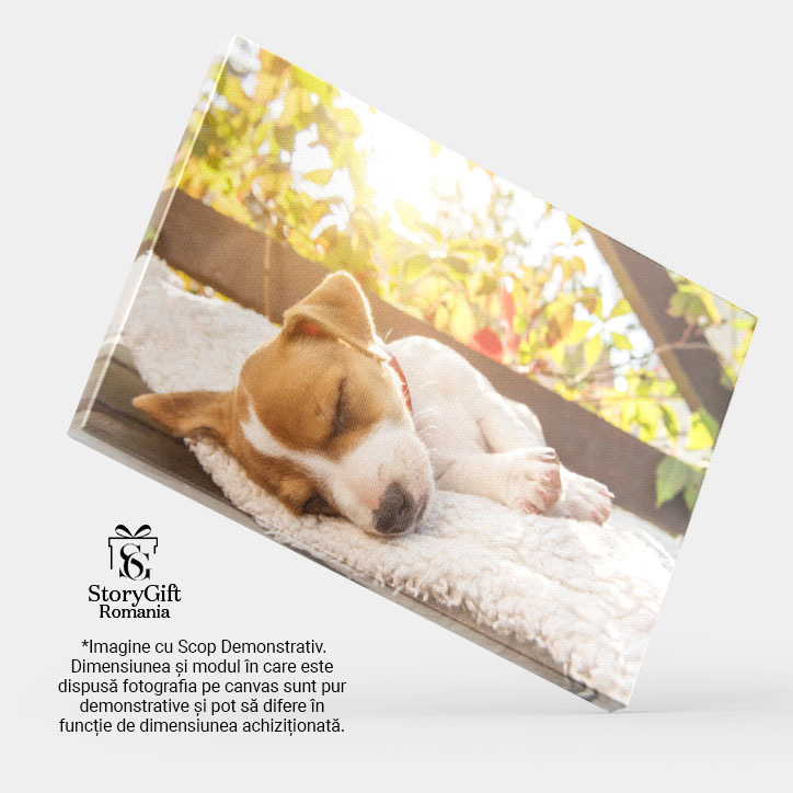 Tablou Canvas Jack Russell Terrier la Semineu, dog, fireplace, hygge, warm, home 2548 40x25CM [3]