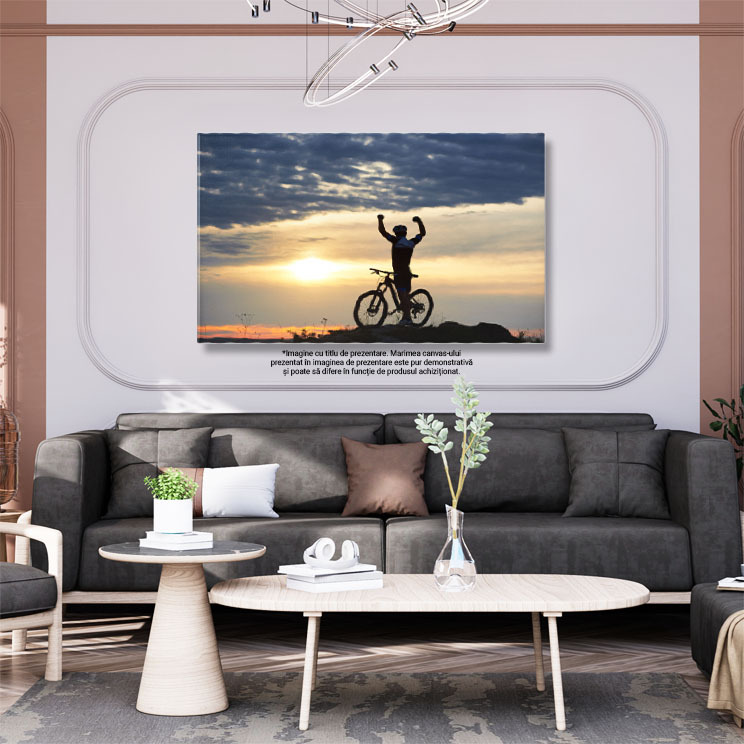 Tablou Canvas Om in Haine Sport si Casca, Langa Bicicleta, Silueta, Bicicleta, Ciclism, Vacanta, Vedere 2898 40x25CM [2]