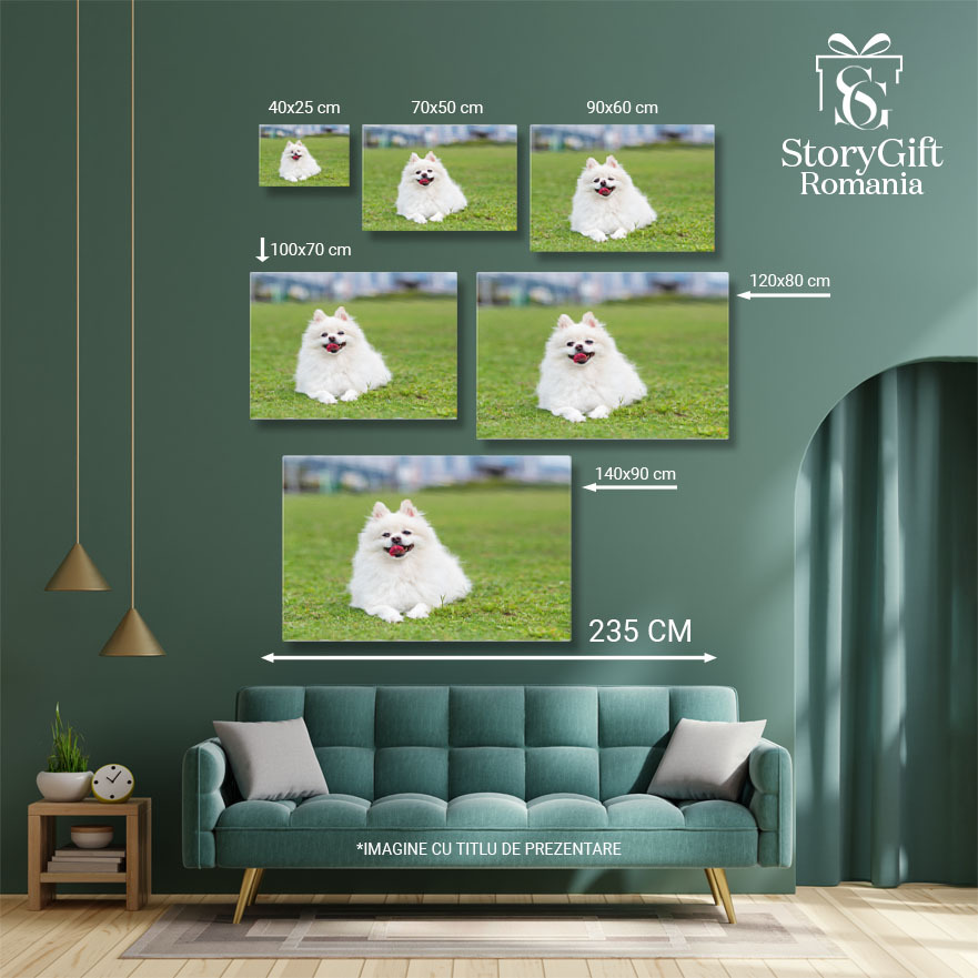 Tablou Canvas Caine Pomeranian pe iarba verde Pomeranian, Iarba Verde, Natura, Animal, Fericire 3599 40x25CM [4]