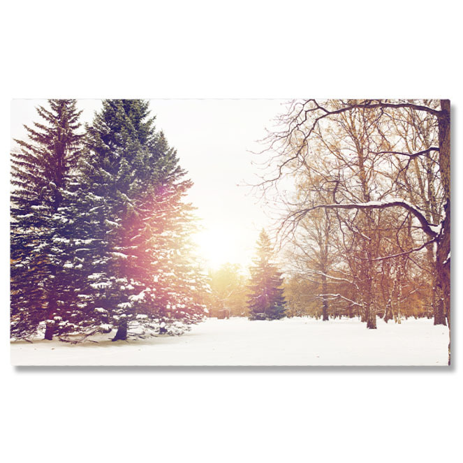 Apus și Răsări - Tablou Canvas Padure de Iarna cu Brazi si Zapada, iarna, padure, natura, zapada, Craciun 5160 40x25CM