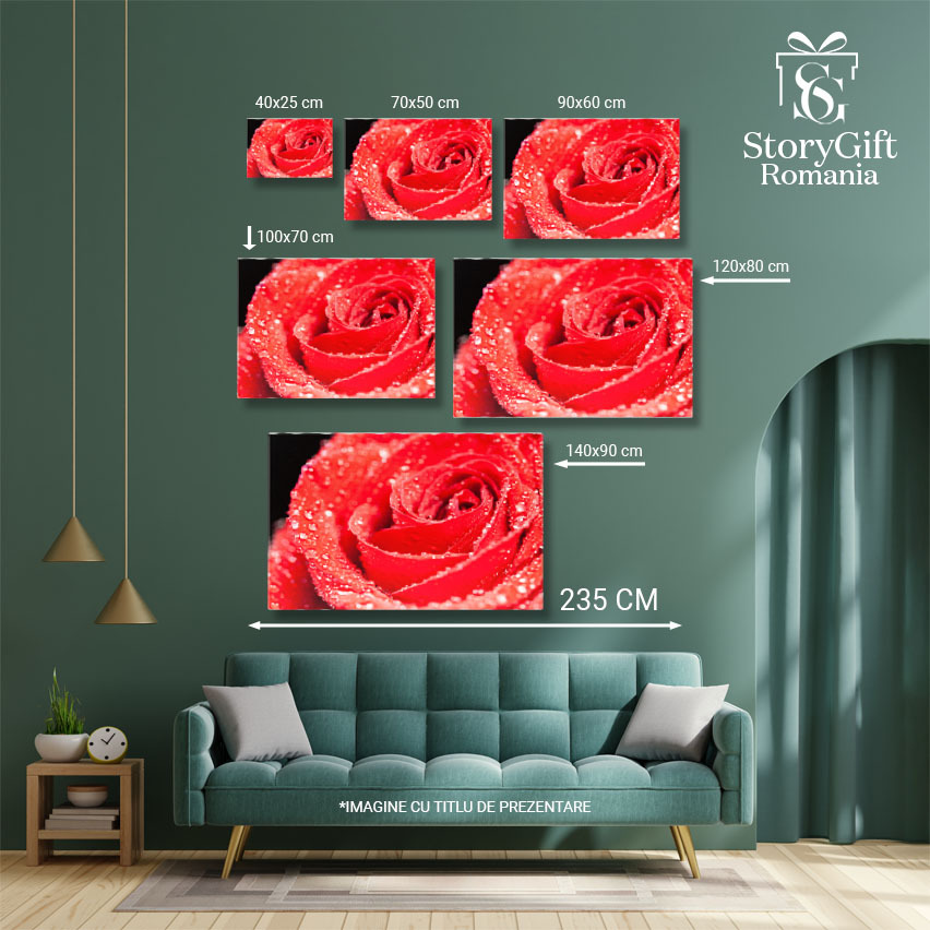 Tablou Canvas Simbol al Iubirii trandafir Rosu pe Fundal Negru, Frumusete Naturala inalta si Eleganta in Contrast de Culori 40x25CM [4]