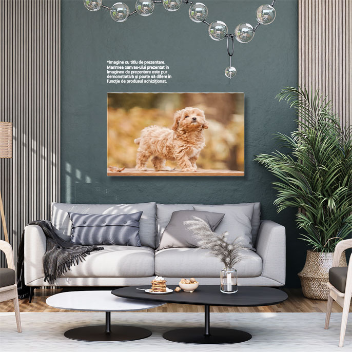 Tablou canvas cu pui de catel, poodle, toamna, banca de lemn, frunze, multicolor 40x25CM [2]