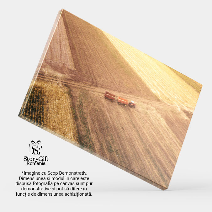 Tablou canvas cu peisaj, agricultura, tractor, camp, grau, multicolor 40x25CM [3]