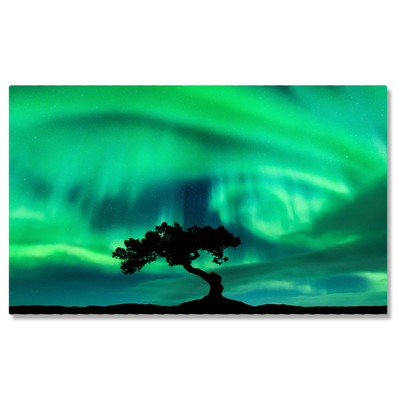 Aurora Boreală - Tablou Canvas Magie in Padurea Boreala - Luminitele aurorelor boreale danseaza printre copaci 40x25CM