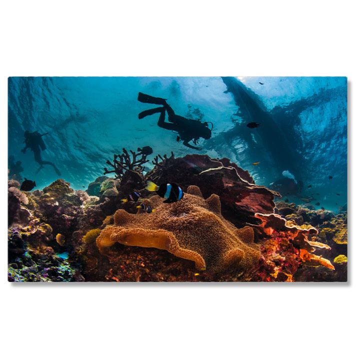 Apă & Natură - Tablou Canvas - Explorare Subacvatica: Viata Marina a Recifului de Corali 40x25CM