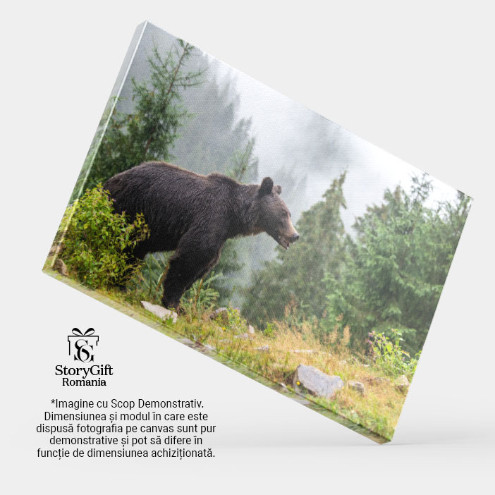 Tablou Canvas - Padurea Taigalei: Peisajul Minunat al Nordului, insotit de Maretia Ursului Grizzly 40x25CM [3]