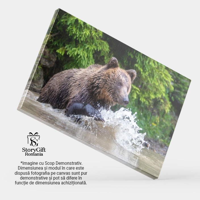 Tablou Canvas - intalnire cu Ursii Grizzly: Imagini Uimitoare in Mijlocul Taigalei, Detalii Fascinante ale Naturii 40x25CM [3]