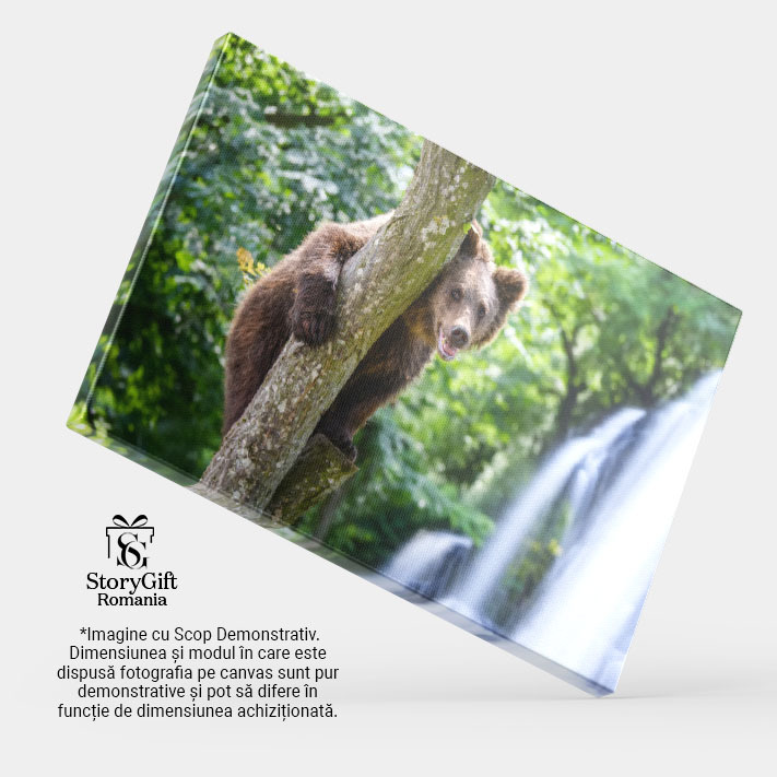 Tablou Canvas - Tineri Exploratori in Taiga: Ursi Grizzly Juvenili in infruntarea cu Uimirea Naturii Salbatice 40x25CM [3]