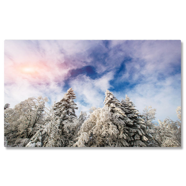 Păduri - Tablou Canvas - Dimineata cu Ceta si Zapada: Peisaj Iarna, Lumina si Magie in Natura 40x25CM