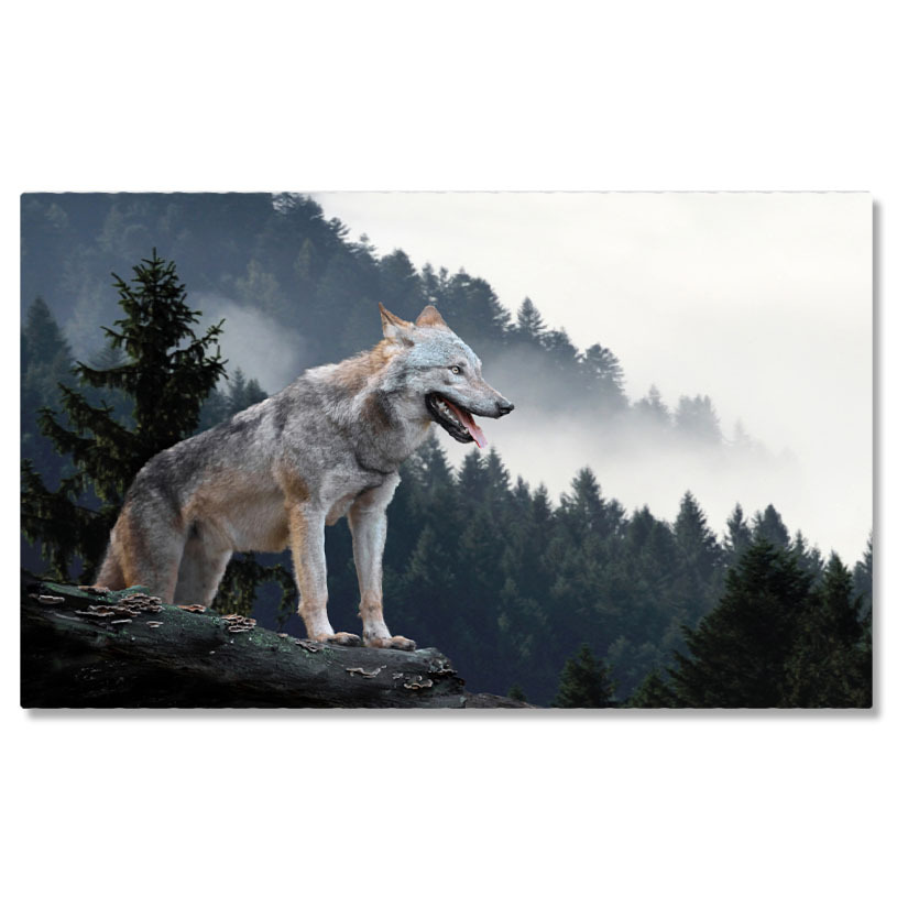 Animale - Tablou Canvas - Portret de Lup Gris: Privirea Salbatica a Lupului in Natura 40x25CM