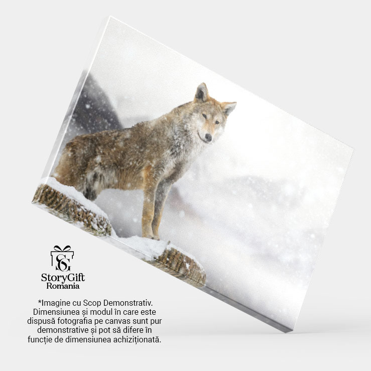 Tablou Canvas - Lup in Peisaj de Iarna: Pradatorul in Zapada intr-un Cadru Natural 40x25CM [3]