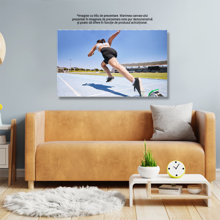 Tablou Canvas - Start in Cursa: Alergatori in Antrenament 40x25CM [2]