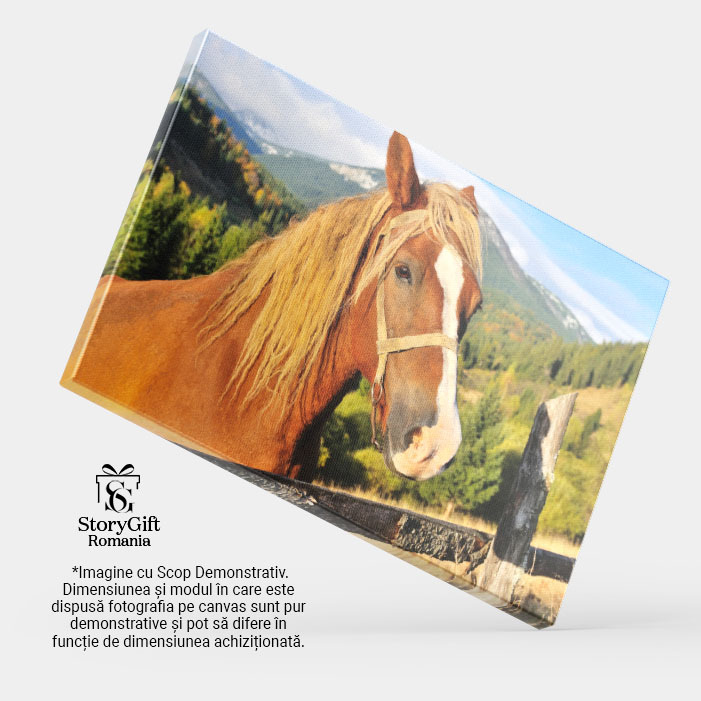 Tablou Canvas - Cal in Carpati: Pasune, Peisaj, Natura, Cer si Nouri 40x25CM [3]