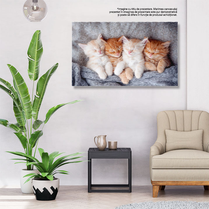 Tablou Canvas - Pisicuta ginger relaxandu-se: blanita stralucitoare, somn adanc si confort domestic 40x25CM [2]