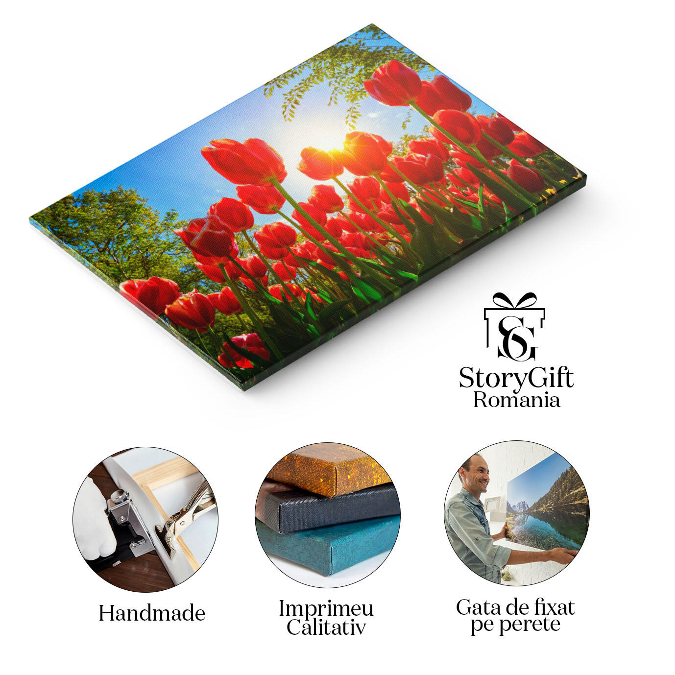 Tablou Canvas - Camp de lalele, splendoare olandeza, frumusete naturala 40x25CM [1]