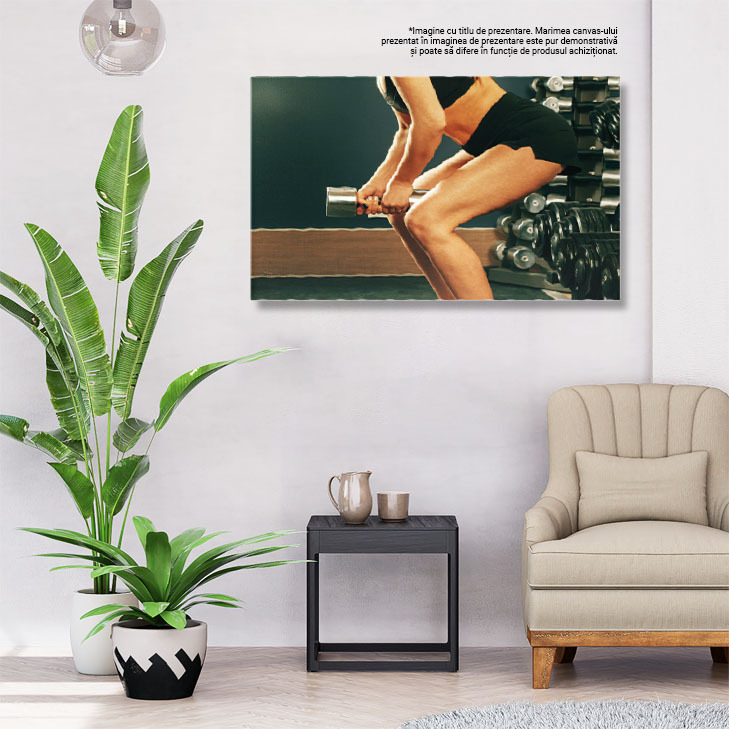 Tablou Canvas - Atletism feminin: antrenament si sanatate in sala de sport 40x25CM [2]