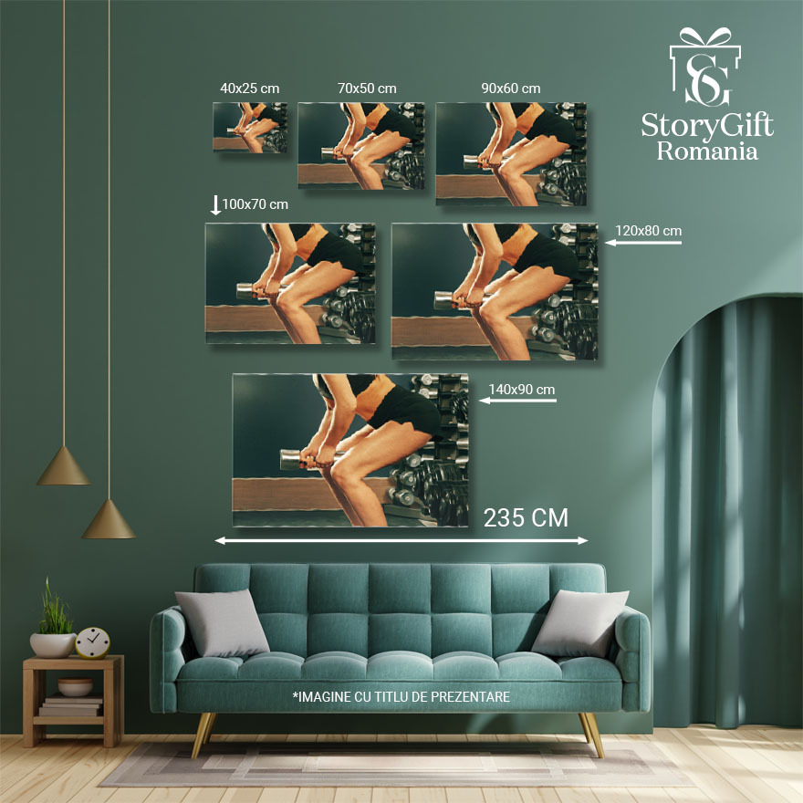 Tablou Canvas - Atletism feminin: antrenament si sanatate in sala de sport 40x25CM [4]