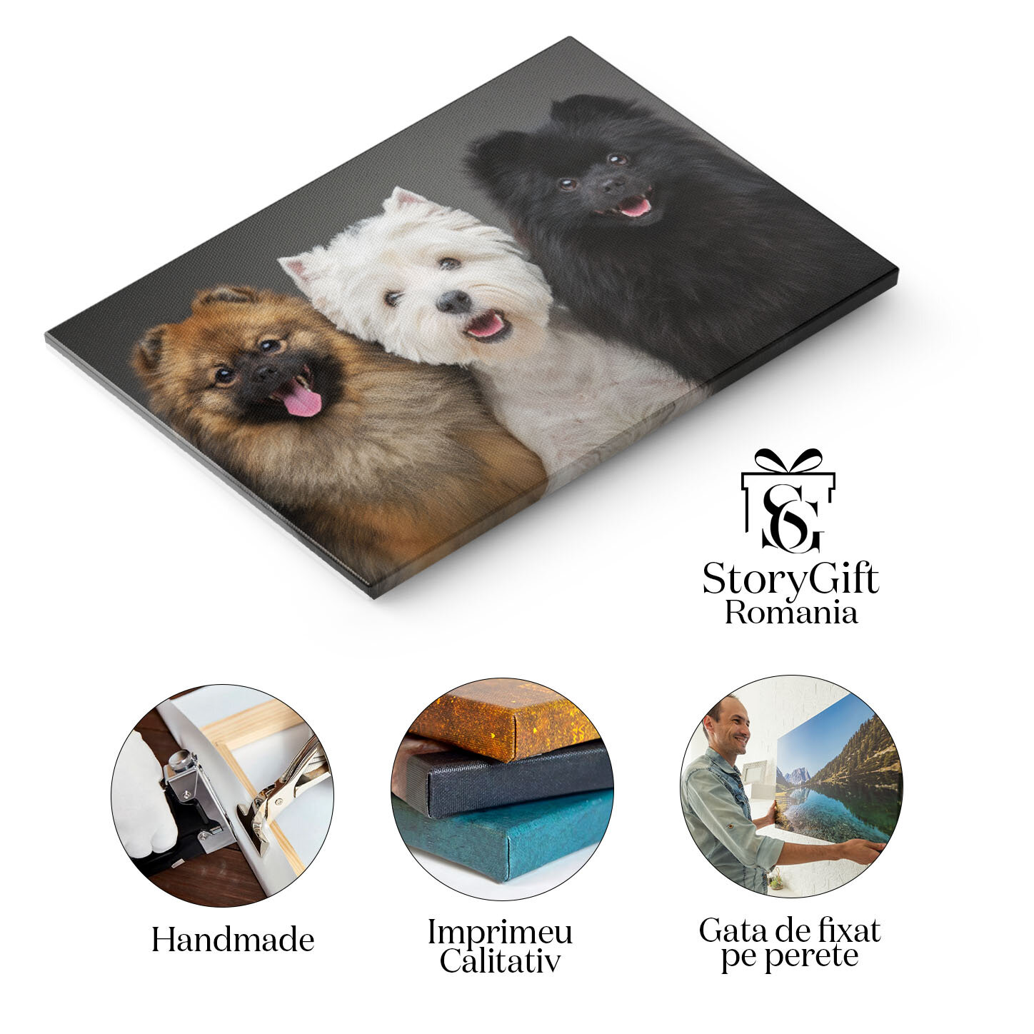 Tablou Canvas - Pomeranian Spitz: Catelus Negru si Alb cu Privire Pozitiva 40x25CM [1]