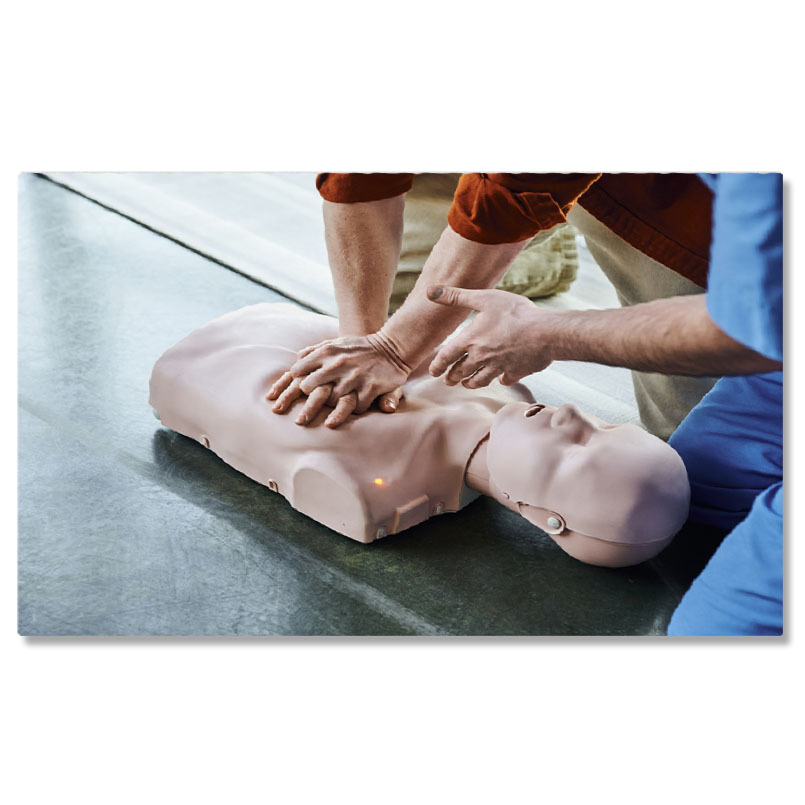 Meserii - Tablou Canvas: Educatie Medicala si Salvare - Calea catre Siguranta si Bine 40x25CM