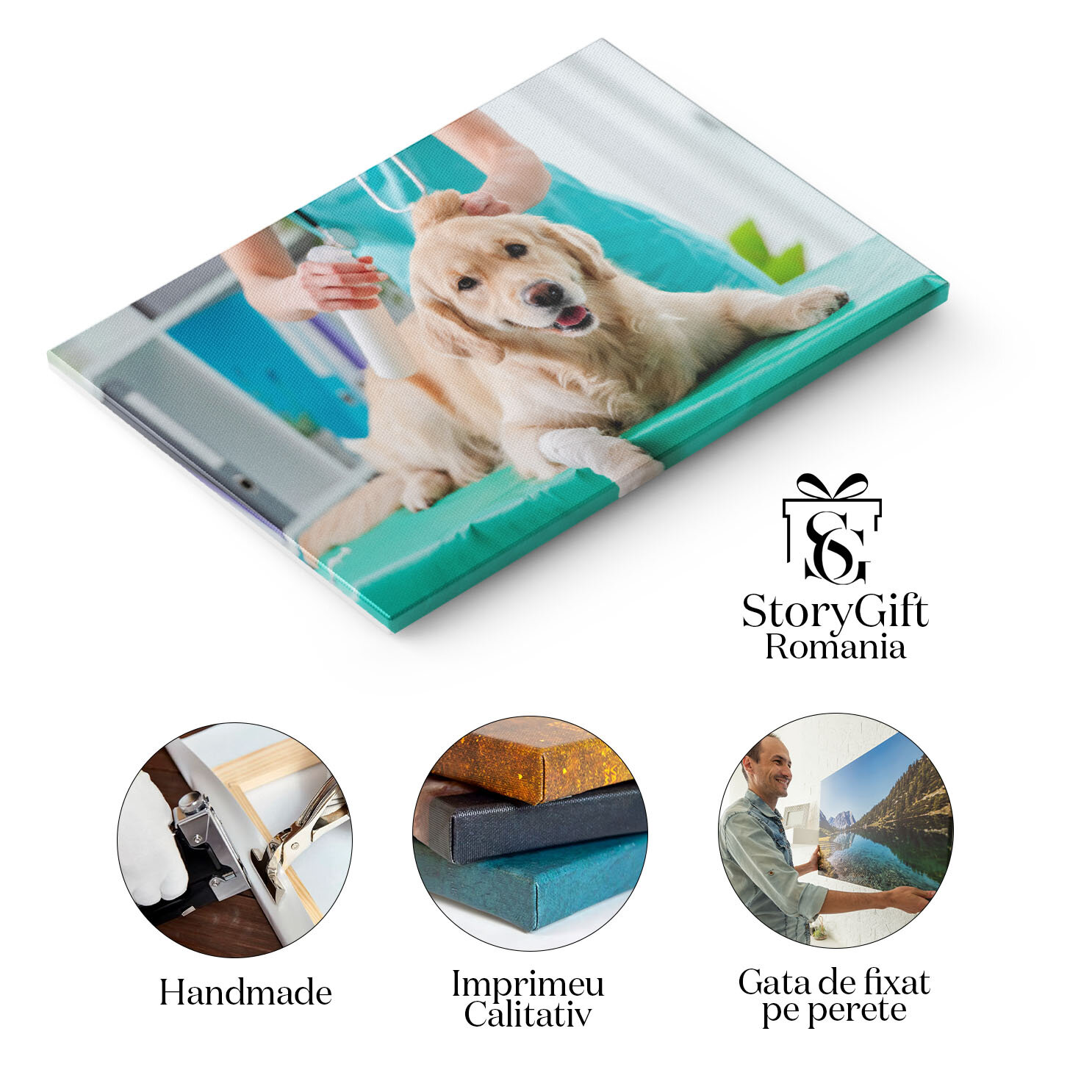 Tablou Canvas Cu Sanatatea Animalelor de Companie: Veterinari si Tratamente 40x25CM [1]