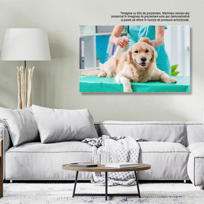 Tablou Canvas Cu Sanatatea Animalelor de Companie: Veterinari si Tratamente 40x25CM [2]